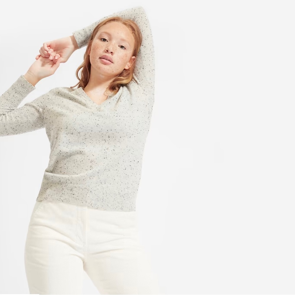 Everlane Cashmere Speckled V-Neck Sweater